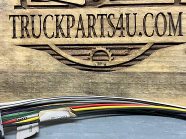 Close image of PP202663 Pana-Pacific harness for CQ series radios