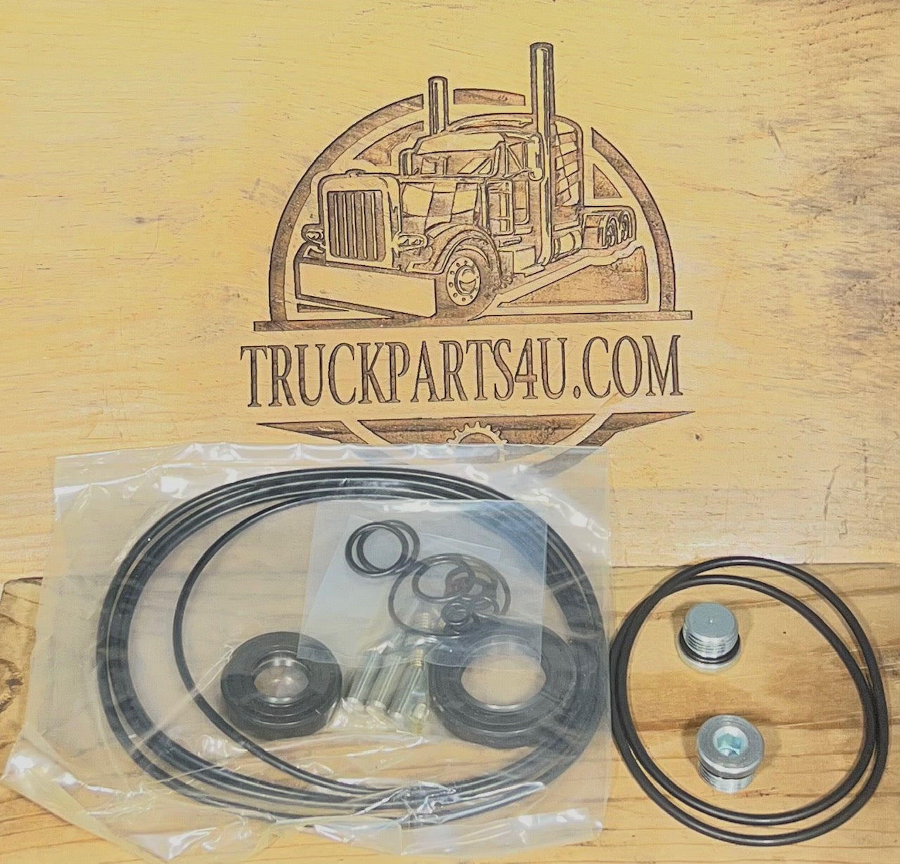 2035-872 ASV Terex Drive Motor Seal Kit – Laid Out For Reference. 